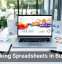 Rethinking Spreadsheets in Business